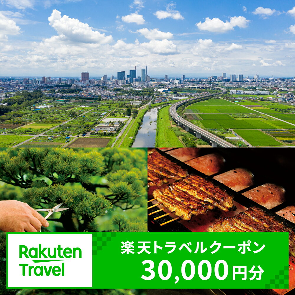 【ふるさと納税】埼玉県さいたま市の対象施設で使える楽天トラベルクーポン 寄付額100,000円