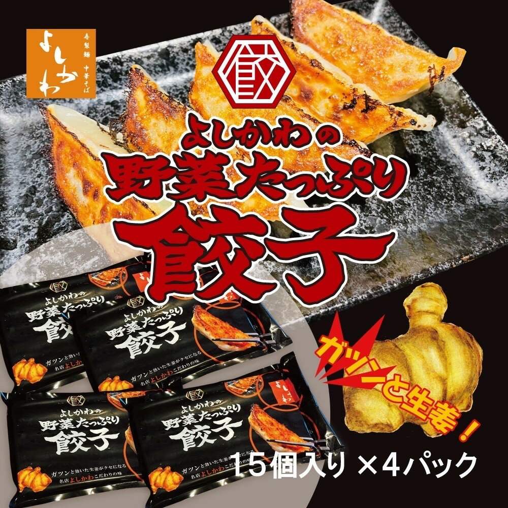 【ふるさと納税】野菜たっぷり餃子(冷凍生餃子15個入り×4パック) | 麺 食品 加工食品 人気 おすすめ 送料無料