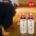 【ふるさと納税】 醤油 金笛 川越しぼり 合計1.2l 醤油