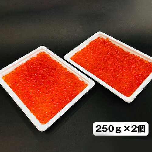 【ふるさと納税】 味付いくら 500g 250g×2パック 鮭子 海鮮 送料無料 埼玉県 No.053