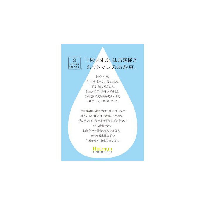 【ふるさと納税】 【ギフト包装対応】ホットマン1秒タオル　大判バス・フェイスタオルギフトセット 化粧箱付 綿100％ 吸水性 送料無料 埼玉県 No.1080