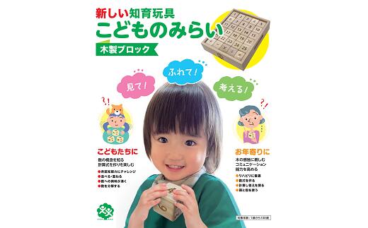 【ふるさと納税】【木製ブロック】新しい知育玩具「こどものみらい」