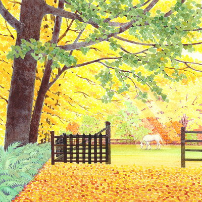 埼玉県川口市の画像2