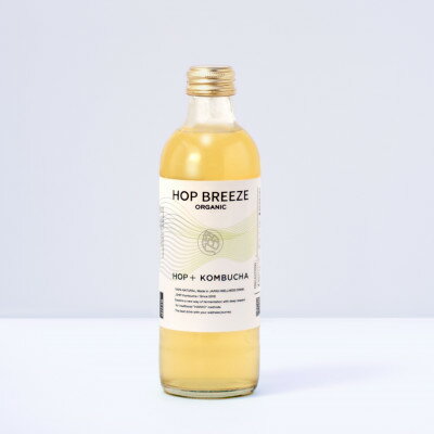 2位! 口コミ数「0件」評価「0」_SHIP KOMBUCHA HOP BREEZE ホップ ブリーズ(300ml×12本セット)【配送不可地域：離島】【1480448】