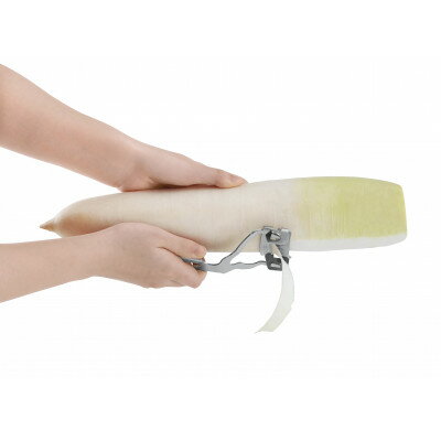 埼玉県川口市の画像2