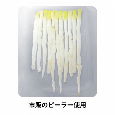 埼玉県川口市の画像3