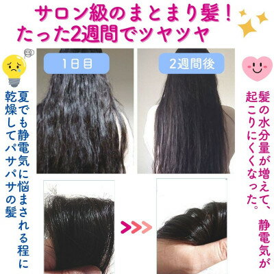 埼玉県川口市の画像2