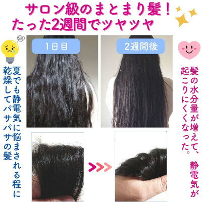 埼玉県川口市の画像2