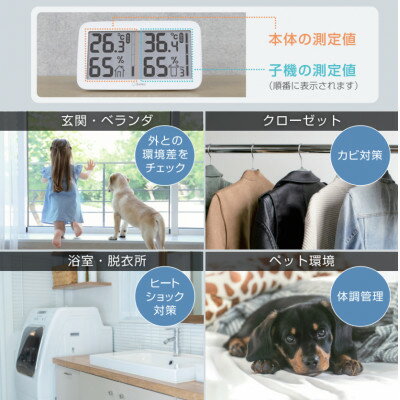 埼玉県川口市の画像3