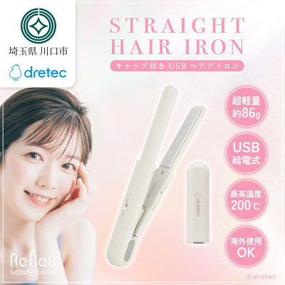 【ふるさと納税】ドリテック キャップ付きUSBヘアアイロン ベージュ HI-100BE【配送不可地域：離島・沖縄県】【1782289】