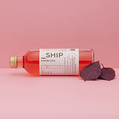 1位! 口コミ数「0件」評価「0」 SHIP KOMBUCHA SHISOシソ(300ml×12本セット)【配送不可地域：離島】【1148440】