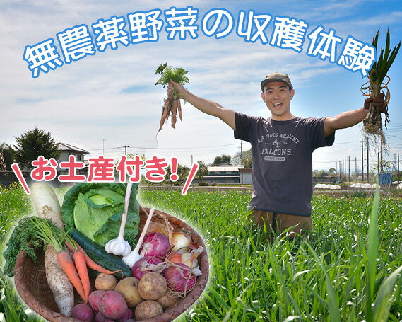 収穫野菜のお土産付き！東京近郊の畑で無農薬野菜の収穫体験（1組分） ／ 季節の青果 7～10種類 採れたてブランチ 野菜BOXづくり 大人2名 子ども3名 約3時間 第3土曜日 1日5組 親子おでかけ 食育レジャー 有効期限1年 体験チケット 農業体験 No.063