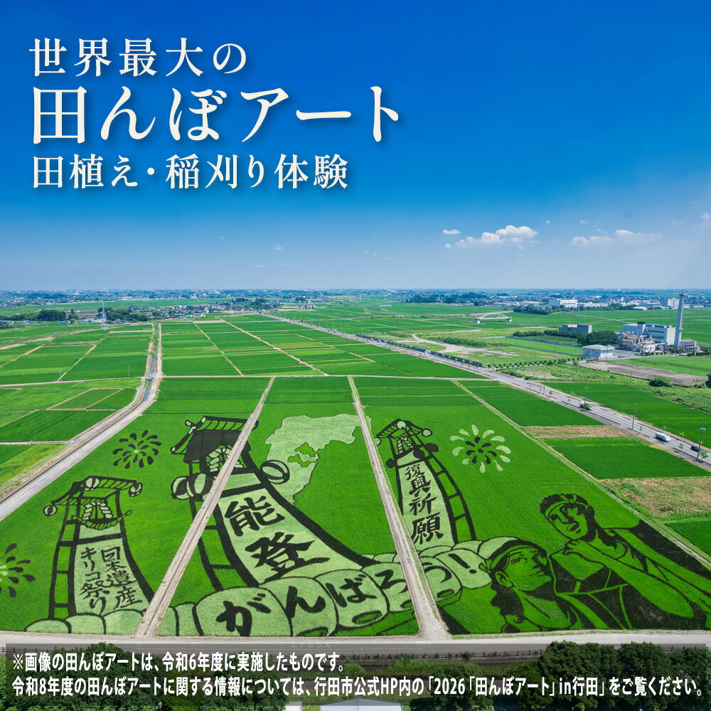世界最大の田んぼアート田植え・稲刈り参加体験 / 田んぼアート 田植え体験 稲刈り体験 農業体験 体験チケット 親子体験 お米づくり ギネス認定 日本最大 季節イベント 自然体験 週末レジャー 収穫体験 思い出作り 写真映え 送料無料 埼玉県 No.083