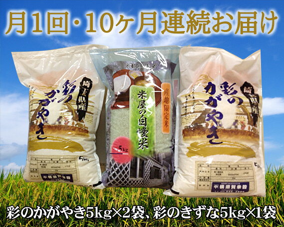 【15kg・10ヶ月連続お届け】行田彩のかがやき・彩のきずな［横須賀米穀店］ ／ 二品種食べ比べ 月1回配送 5kg小分け 3袋構成 専門店選別 申込後精米 粒立ち 食感の違い 口当たり 炊き上がり 主食 お弁当 おにぎり お米 精米 白米 定期便 埼玉県 No.114
