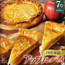 【ふるさと納税】No.144 国産林檎のアップルパイ800g / 焼菓子 りんご スイーツ おやつ 送料無料 埼玉県