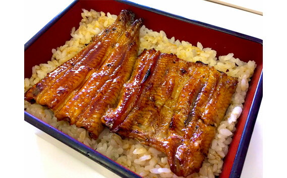 うなぎ蒲焼(真空パック)2人前 / 鰻 ニホンウナギ 厳選 送料無料 埼玉県