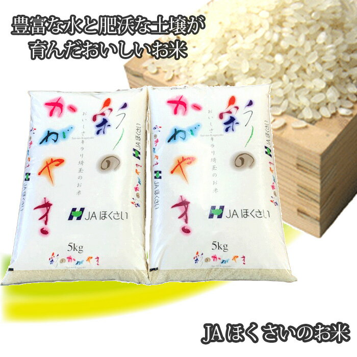 【ふるさと納税】No.296 行田市産 彩のかがやき 精米10kg 5kg 2 ／ お米 白米 ごはん 送料無料 埼玉県