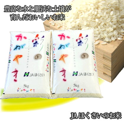 No.296 行田市産「彩のかがやき」精米10kg（5kg×2） ／ お米 白米 ごはん 送料無料 埼玉県