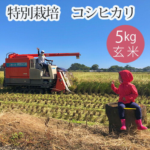 特別栽培 コシヒカリ 玄米5kg ／ 農薬使用量を抑えた栽培 化学肥料低減 認証農産物 家族三世代生産 田植えから一貫管理 生産者直送 常温配送 賞味期限3か月 毎日の主食 自宅精米 分づき米 おにぎり 炊き込みご飯 食品ストック 家族向け No.300