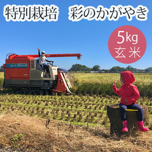 特別栽培 彩のかがやき 玄米5kg / お米 げん米 送料無料 埼玉県