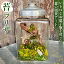 【ふるさと納税】No.356 レトロなお菓子瓶を使った森の風景アート/ 苔 鑑賞 癒し レトロ 送料無料 埼玉県