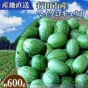 【ふるさと納税】No.395 【産地直送】行田市産マイクロキュウリ 600g ／ きゅうり サラダ 野菜 栄養 送料無料 埼玉県