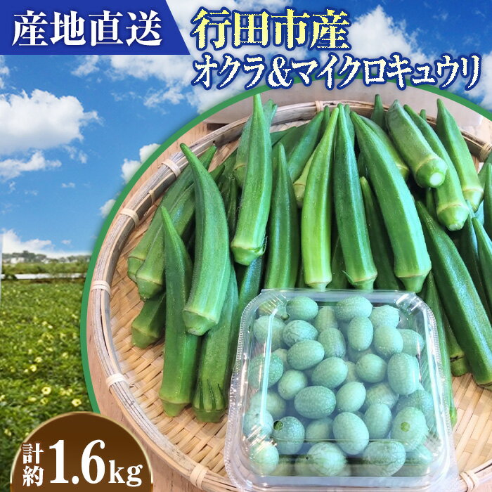 4位! 口コミ数「0件」評価「0」No.397 【産地直送】行田市産オクラ＆マイクロキュウリ　計1600g ／ きゅうり 甘み サラダ 野菜 栄養 送料無料 埼玉県