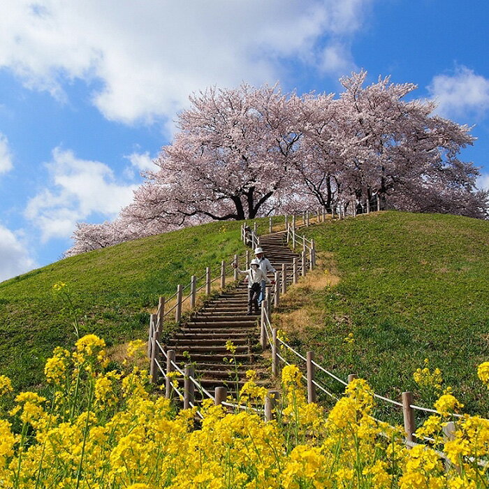 埼玉県行田市の画像2