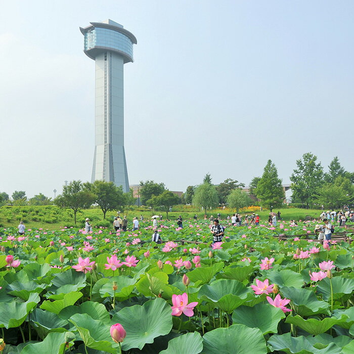 埼玉県行田市の画像3