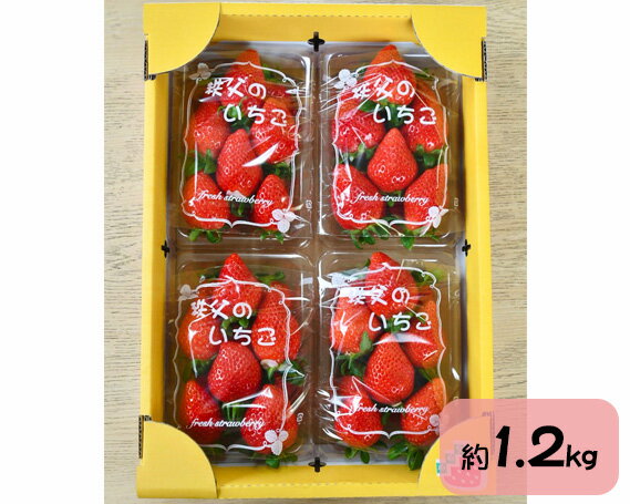 【ふるさと納税】No.214 秩父のやよいひめ　4パック ／ 苺 イチゴ いちご 果物 フルーツ 送料無料 埼玉県