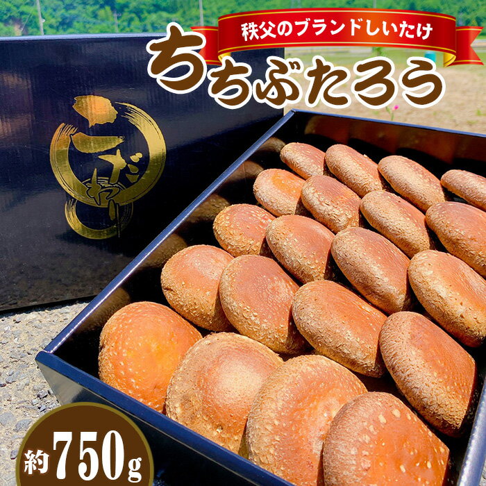 【ふるさと納税】No.221 秩父のブランドしいたけ ちちぶたろう 菌床しいたけ約750g / 椎茸 肉厚 送料無料 埼玉県 特産