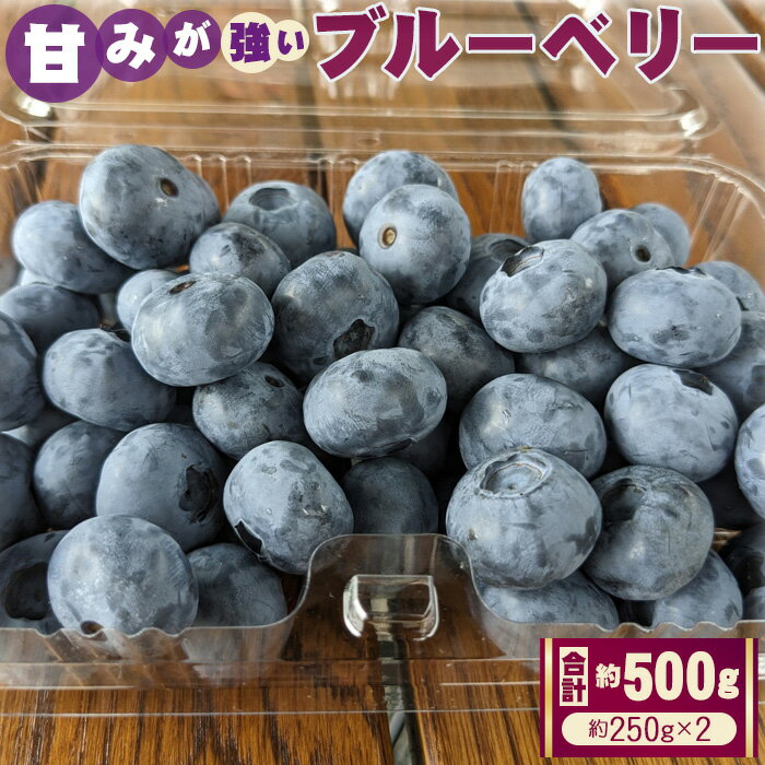 ブルーベリー 約500g(約250gパック×2) / 果物 フルーツ 甘い 送料無料 埼玉県