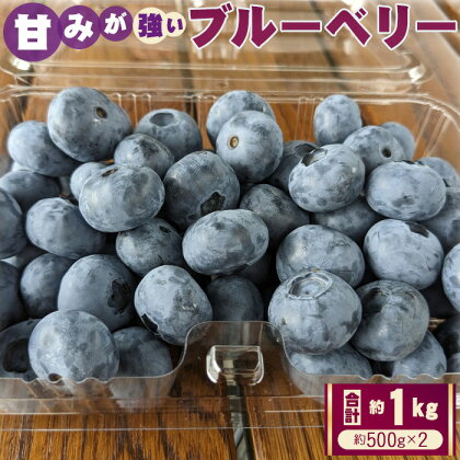 No.409 ブルーベリー　約1kg（約500gパック×2） ／ 果物 フルーツ 甘い 送料無料 埼玉県