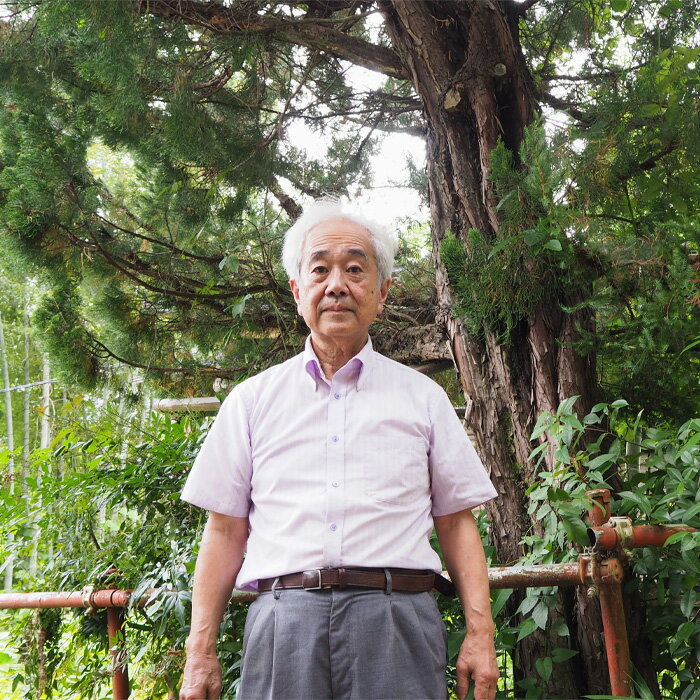 �ڤդ뤵��Ǽ�ǡ� ����ʨ�ֳ���ʸ�� �� ���� ���� ���� ��̸� �û� No.475