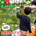 【ふるさと納税】No.500 秩父きゅうり収穫体験ペアセット(ピクルス漬け液付き) / ちちぶ丸山農園 体験チケット きゅうり狩り 野菜収穫 2名 送料無料 埼...