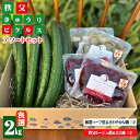 【ふるさと納税】No.504 秩父きゅうり良選(2kg)と秩父ピクルス2種(赤・白各2個)のアソート / ちちぶ丸山農園 キュウリ 胡瓜 ブランド野菜 おつまみ...