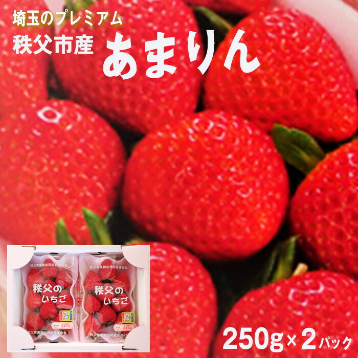いちごハウスAYAのあまりん 250g×2パック / いちご 苺 果物 埼玉県 秩父 おすすめ返礼品 送料無料 No.376