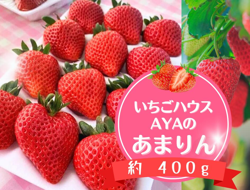 いちごハウスAYAのあまりん 約400g / 果物 フルーツ 苺 イチゴ プレミアム 採れたて 新鮮 濃厚 甘み 爽やか 酸味 低農薬 特産 送料無料 埼玉県 No.630