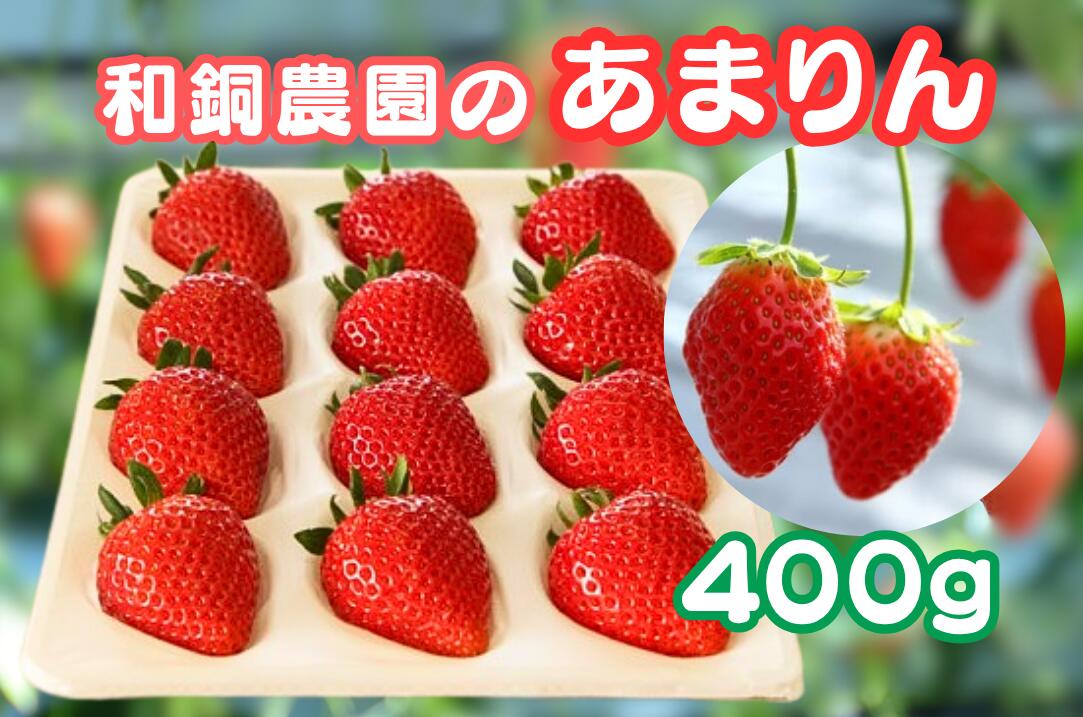 和銅農園のあまりん 400g / 果物 フルーツ 苺 イチゴ ジャムのように香り高い 希少 大粒 厳選 朝採り 平成28年デビュー 特産 送料無料 埼玉県 No.631