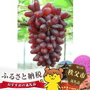 【ふるさと納税 果物】No.100 秩父産ぶどう ちちぶ山ル...