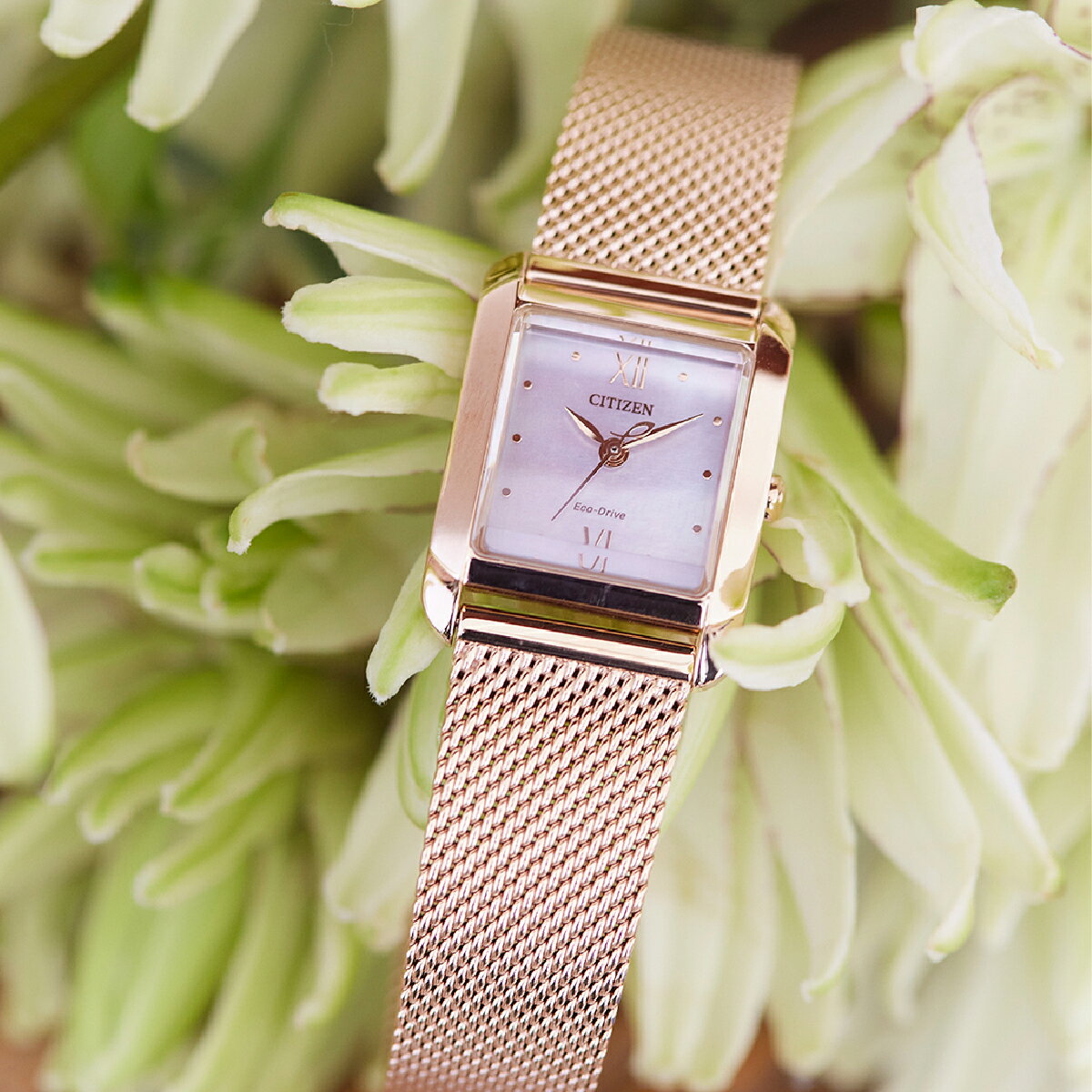 【ふるさと納税】CITIZEN L EW5593-64D | シチズン citizen シチズンエル 腕時計 時計 正規品 レディース ビジネス スーツ カジュアル フォーマル 贈答 贈答用 ギフト プレゼント 母の日 国内製造 国産 ソーラー エコドライブ ステンレス 防水 埼玉県 所沢市