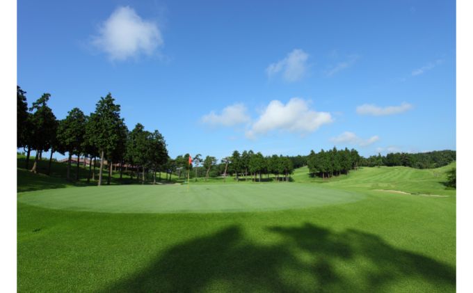 【ふるさと納税】武蔵丘ゴルフコース ゴルフプレー券(平日1ラウンド)[52210078] チケット ゴルフ場利用券 施設利用券 　お届け：発注後、2週間程度