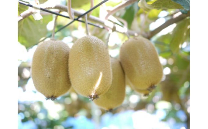 埼玉県飯能市の画像3