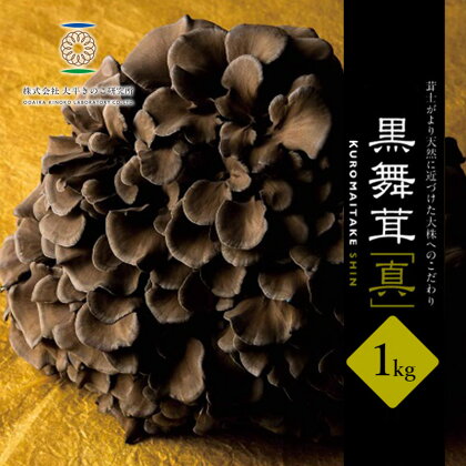 まいたけ 黒舞茸 真 1kg　【 舞茸 きのこ マイタケ 】　お届け：発注後、1か月程度（生育状況により出荷日数が前後する可能性もありますので、あらかじめ御承知おきください。）