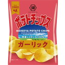 13位! 口コミ数「0件」評価「0」湖池屋　ポテトチップス　ガーリック　55g×12袋入