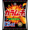 【ふるさと納税】湖池屋のLサイズカラムーチョホットチリ味118g×12袋 【ポテチ】 じゃがいも ジャガイモ お菓子 スナック おやつ おつまみ ポテトチップス...