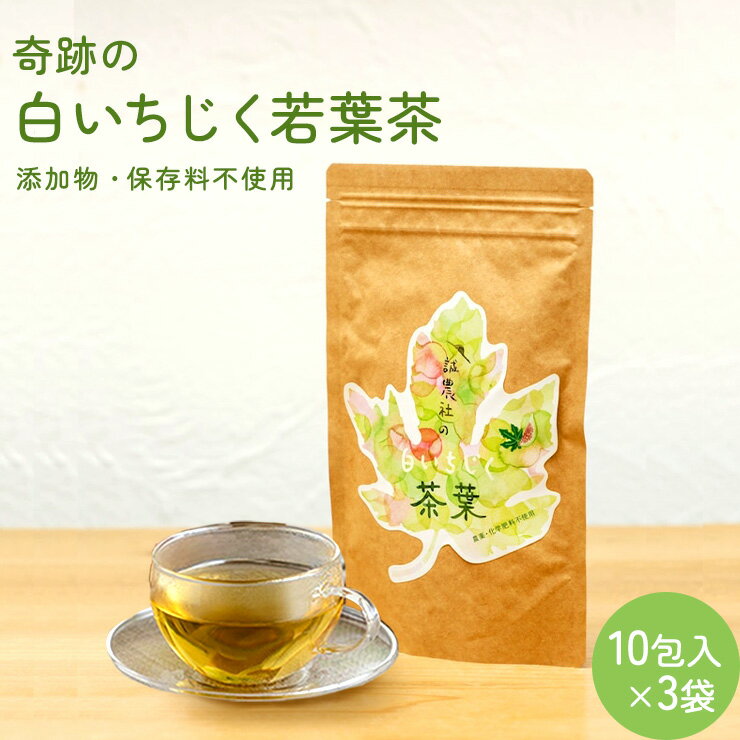 白いちじく茶(3袋)/農薬・化学肥料不使用/ファーストフラッシュ