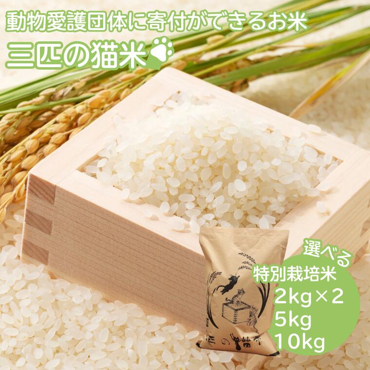 【ふるさと納税】三匹の猫米/動物保護に携われる/特別栽培米 4kg～10kg≪選べる内容量！≫