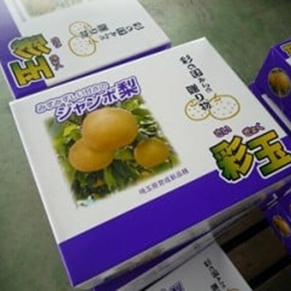 【ふるさと納税】期間限定 埼玉県オリジナル品種　騎西の梨「彩玉」のサムネイル