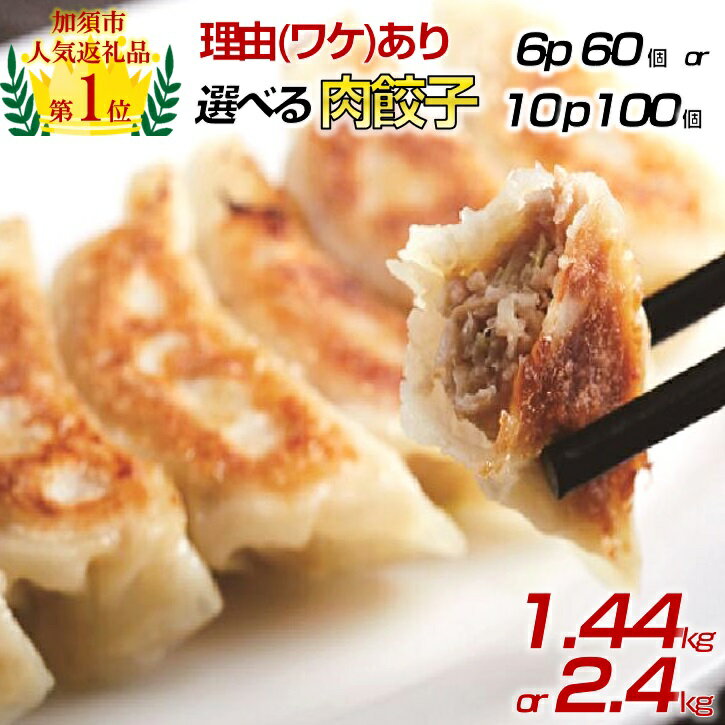 【ふるさと納税】【訳あり】肉汁溢れる「冠生園」の冷凍肉餃子：6パック or 10パック